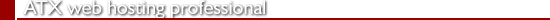 ATX Web Hosting Professional