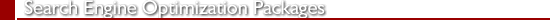 Search Engine Optimization